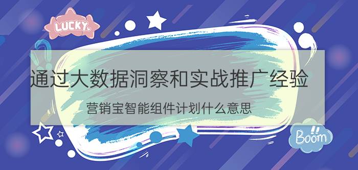 通过大数据洞察和实战推广经验 营销宝智能组件计划什么意思？